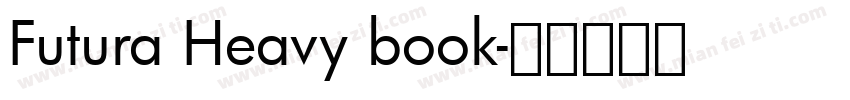Futura Heavy book字体转换